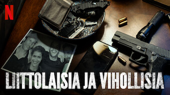 Liittolaisia ja vihollisia (2018)