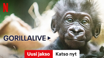 Gorillalive (2023)