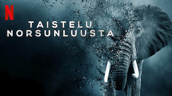 Taistelu norsunluusta (2016)