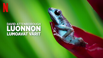 David Attenborough: Luonnon lumoavat värit (2021)