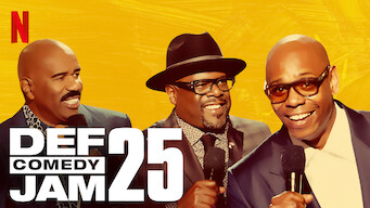 Def Comedy Jam 25 (2017)