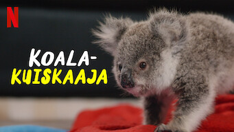 Koalakuiskaaja (2021)