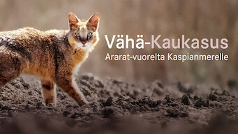 Vähä-Kaukasus – Ararat-vuorelta Kaspianmerelle (2016)