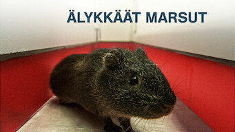 Älykkäät marsut (2013)