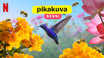 Pikakuva: Seksi (2020)