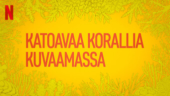 Chasing Coral: katoavaa korallia kuvaamassa (2017)