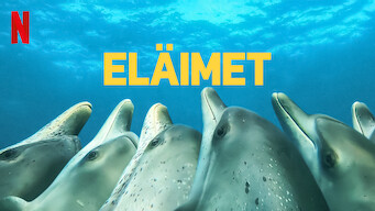 Eläimet (2022)