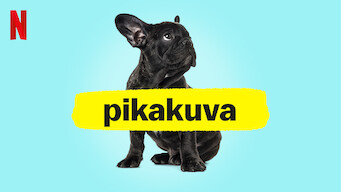 Pikakuva (2021)