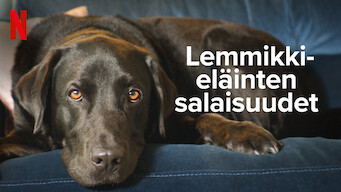 Lemmikkieläinten salaisuudet (2022)