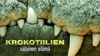 Krokotiilien salainen elämä (2011)